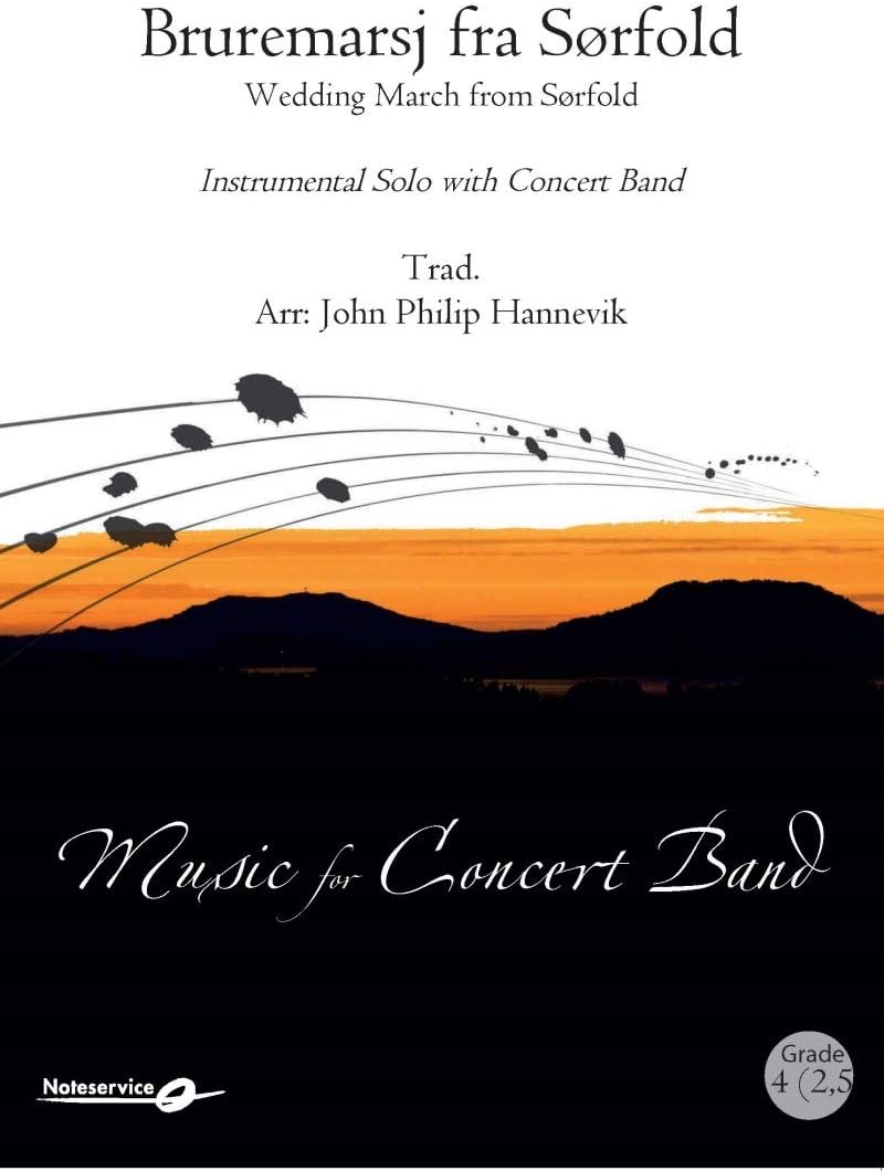 Michael Kelly: Forte Electro Acoustic Guitar - ACOUSTIC GUITAR