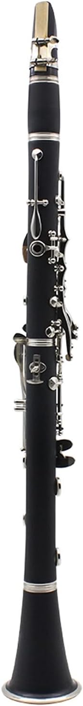 Clarinet Set Clarinet ABS 17 Key BB Flat Soprano Double Barrel Clarinet with Cleaning Cloth Gloves Woodwind Instrument Professional Clarinet (Color : Black)