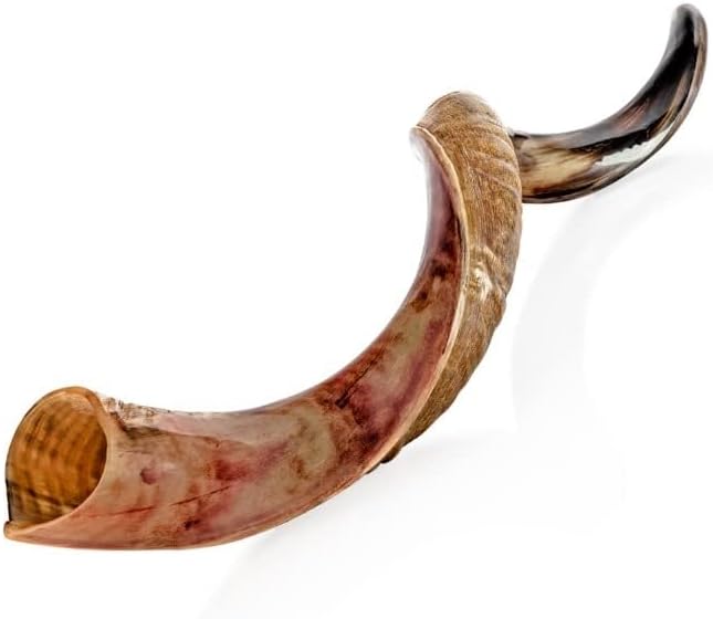 Holy Voice Kosher Kudu Shofar Horn from Israel 39”-41” – Traditional Half Polished Yemenite Shofar Easy Blowing Ancient Jewish Musical Instrument