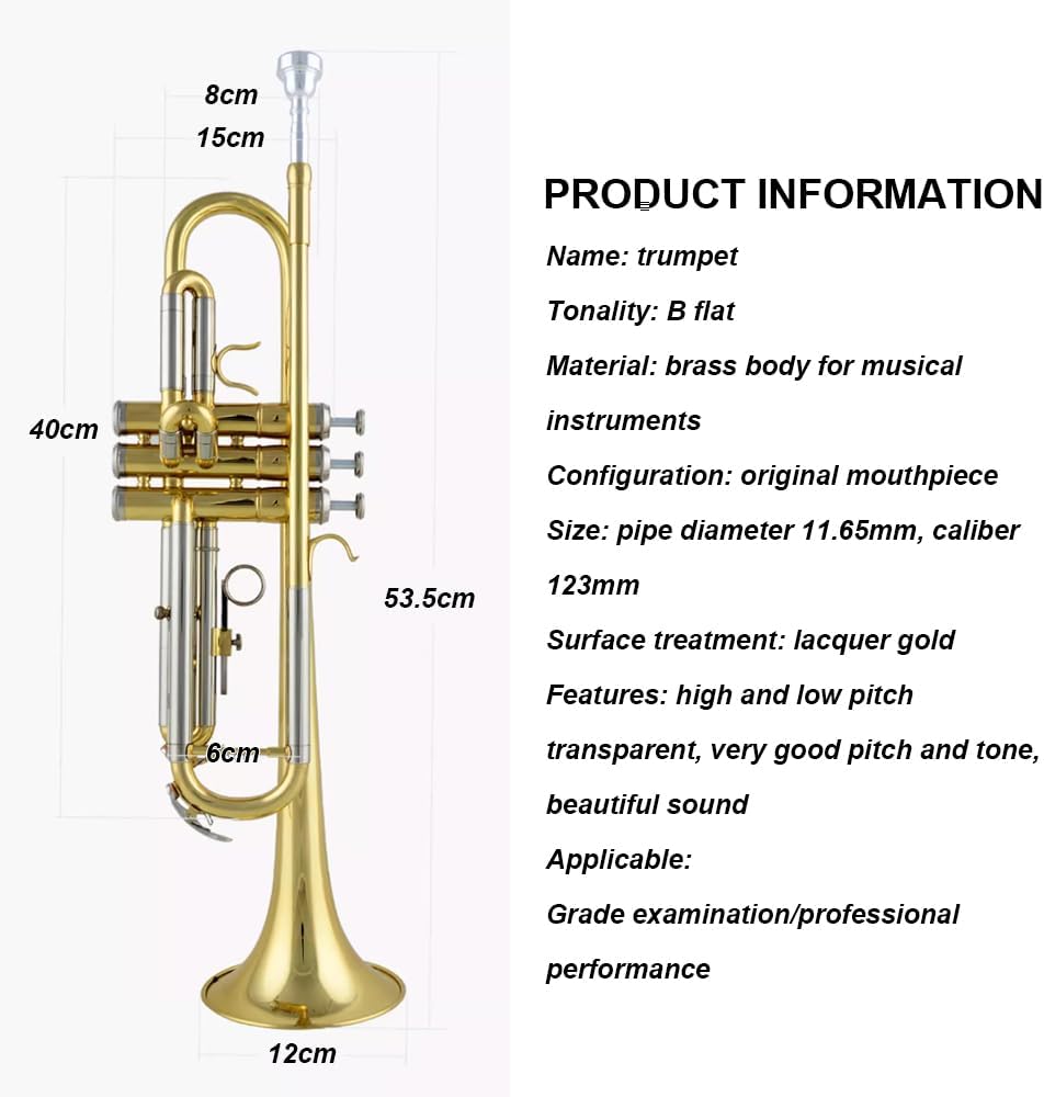 B-Flat Lacquered Trumpet with Transparent Treble and Bass, Suitable for Professional Stage Performance, Grade Examination, Teaching