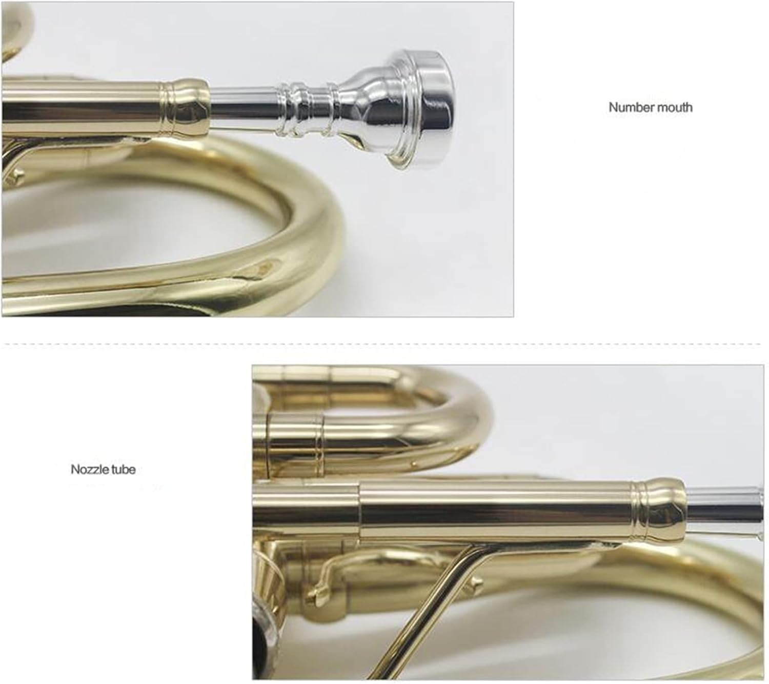 Trumpets Beginner Brass Cornet for Students Gold Lacquer Trumpet Bb Tone Cornet Instruments with Box Trumpet Set