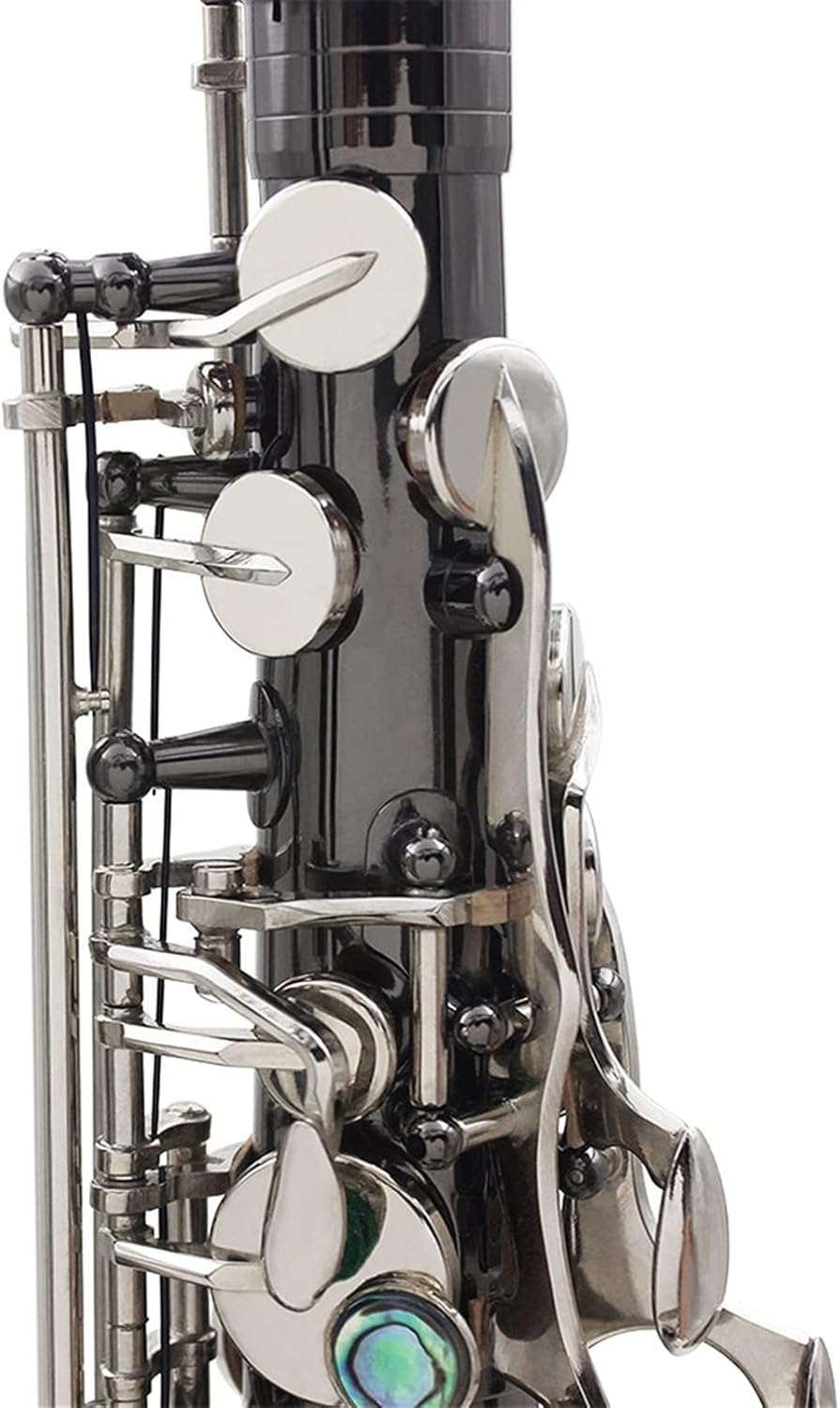 Student Saxophone Alto Saxophone Black-Plated Nickel Wind Instrument for Beginners Saxophone Set