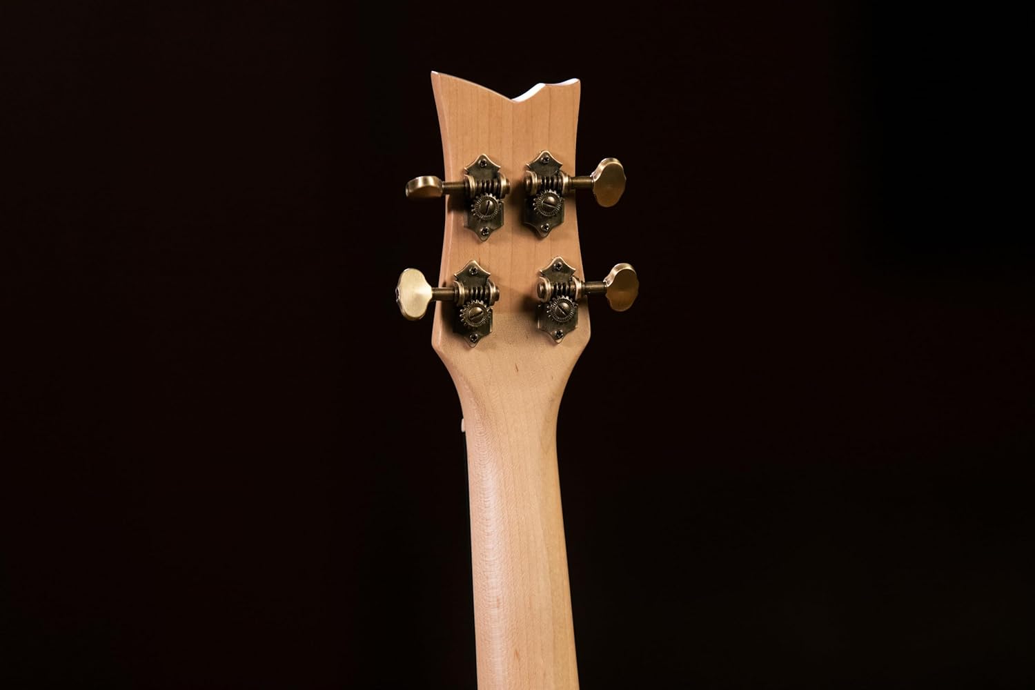 Banjolele Series Acoustic-Electric Banjo-Ukulele w/Bag