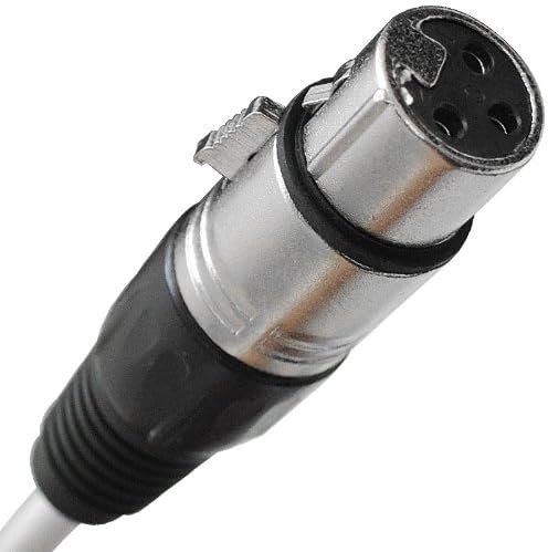 Seismic Audio - SALS-16x8x50 - 16 Channel 50' Pro Stage XLR Snake Cable (XLR & 1/4