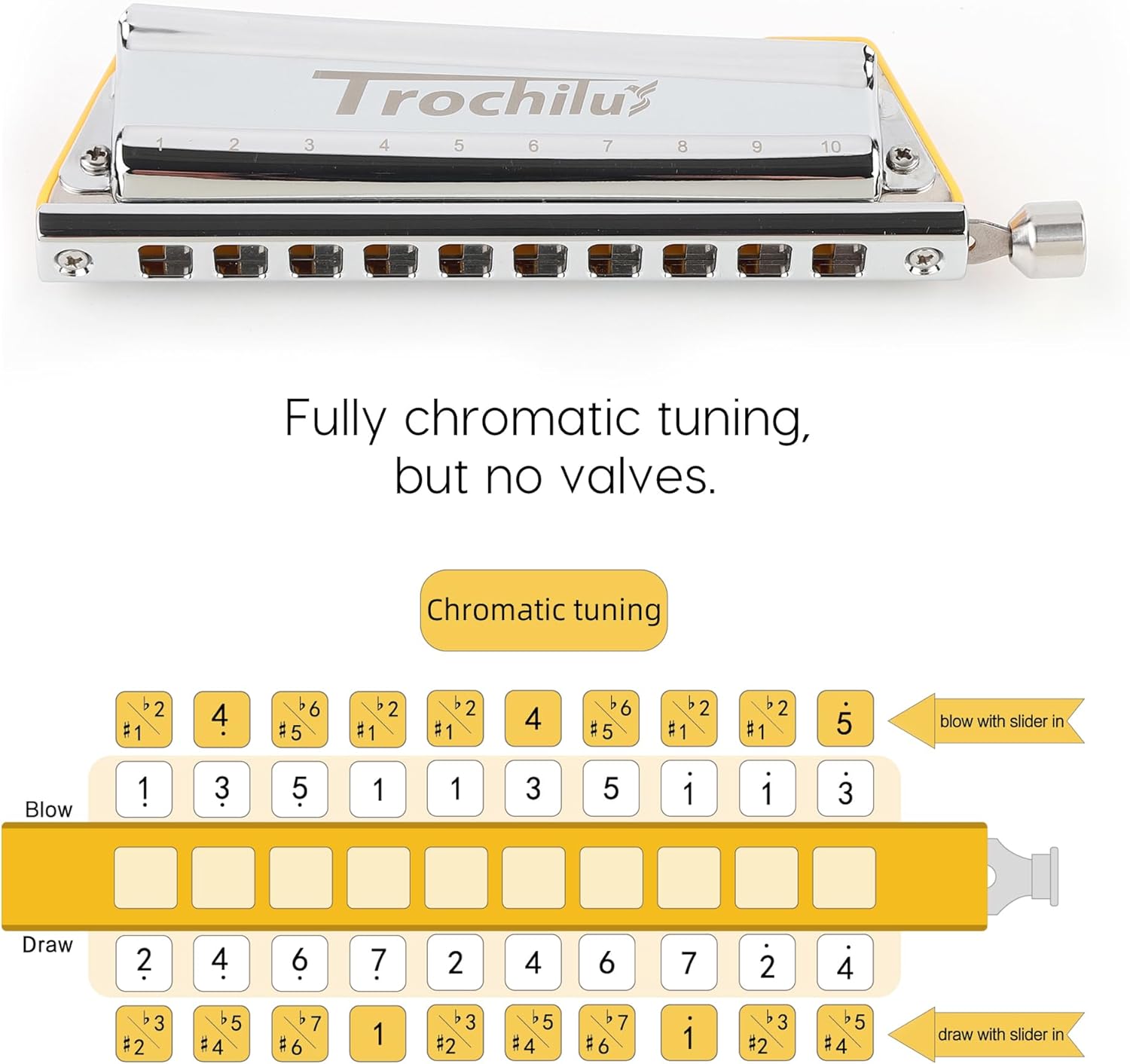 JDR Trochilus 10 Holes Chromatic Harmonica Solo Tuning Key of G Valveless Harp Chromonica with Case for Adults Professionals Beginners Kids Teachers and Students Gift (Chromatic Tuning Key of G)