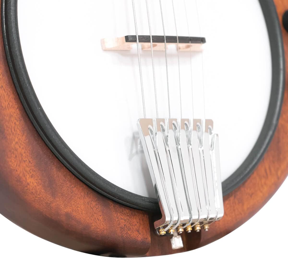 Gold Tone EB-6 Electric Banjitar