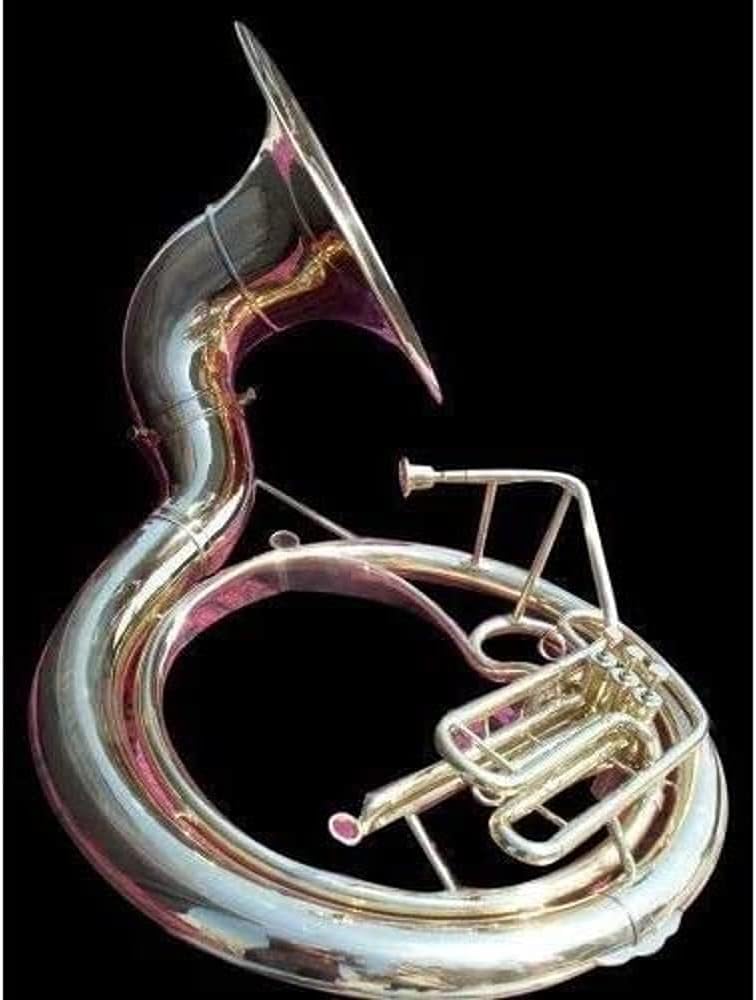 Nautical Mart Sousaphone | Full Brass | BB Key | Includes Mouthpiece & Case | Affordable & Fun for Beginners | Gold, Yellow Finishes Musical Instrument