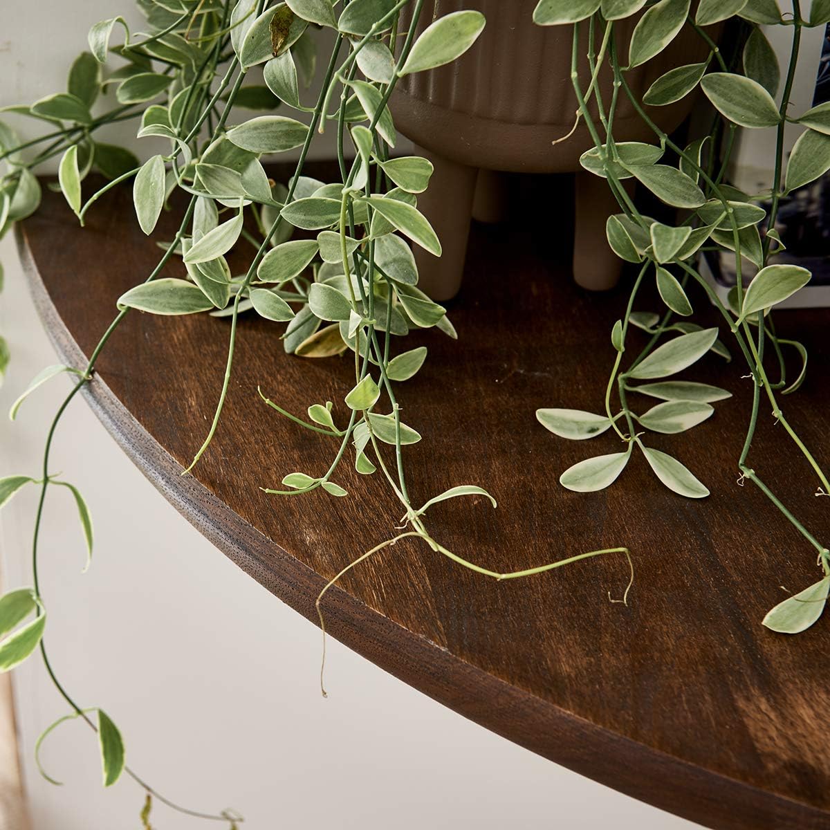 Corner Shelf, 16inch Oak Solid Wood Floating Shelf Display Shelf Round Edging Wall Mount Speaker Shelf Shelving Solution Bedroom Ktichen Bathroom