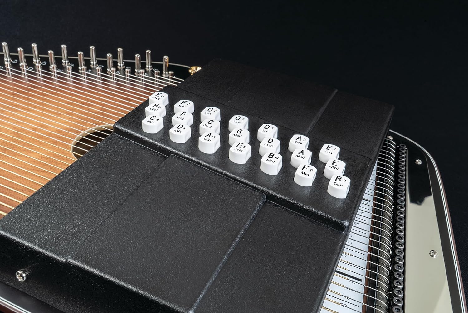 Autoharp by Oscar Schmidt OS11021AE 