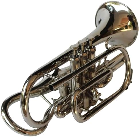Cornet 4 Valve Echo Tuned With Hardcase Mouthpiece Instrument For Beginner Student Professional (SILVER)