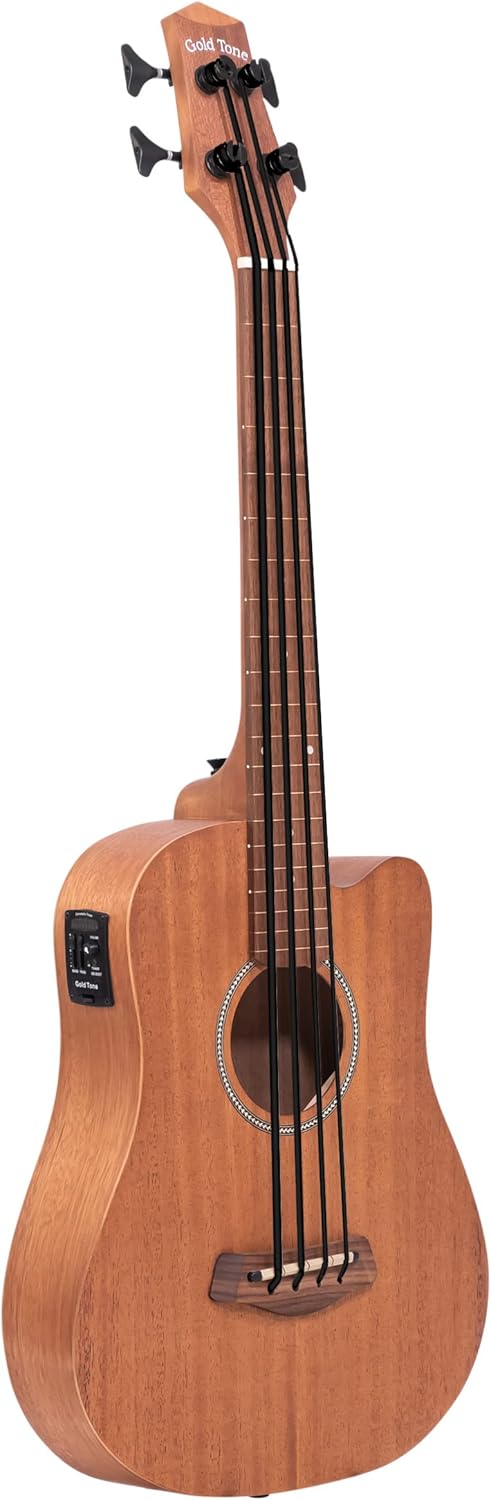 Gold Tone M-BassFL 23-Inch Scale Fretless Acoustic-Electric MicroBass with Gig Bag