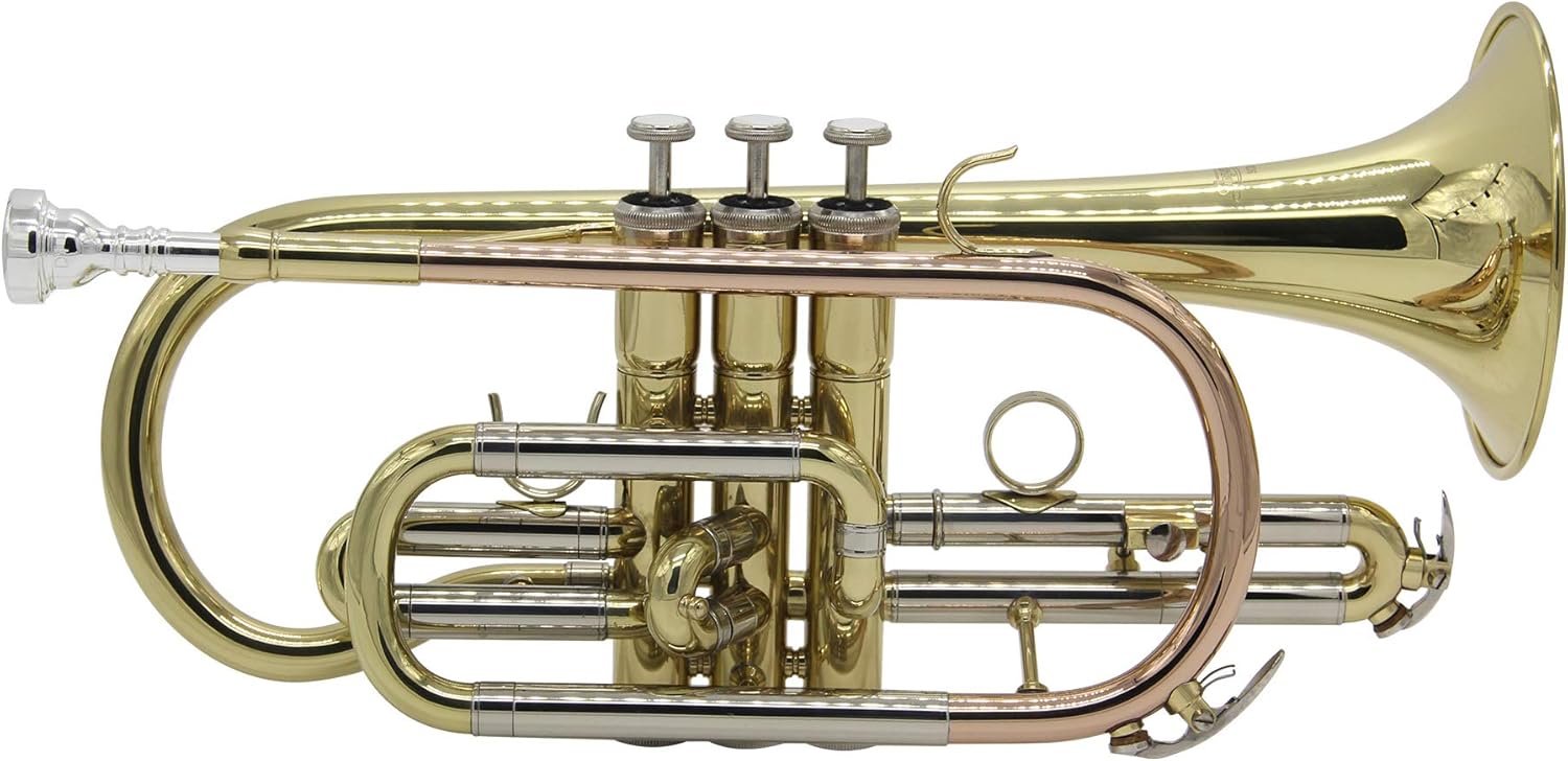Singer's day SCR-4335 Bb Cornet with Rose Brass Leadpipe