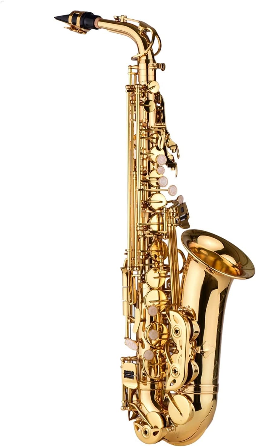 Professional Saxophone AS100 EB Alto Saxophone Brass Lacquered Alto Sax Wind Instrument with Carry Case Gloves Straps Cleaning Cloth Brush Brass Sax Beginners Kit