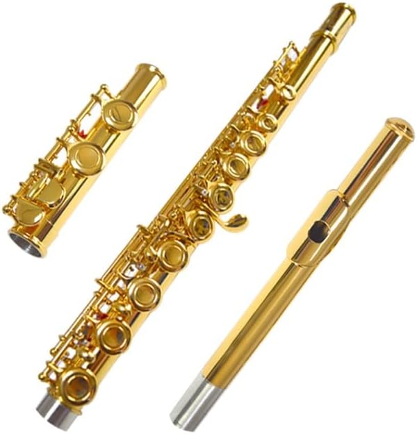Flute Gold-Plated Flute Instrument in C Key 16-Hole Closed-Hole with E-Key Tuned Woodwind Instrument Gold-Plated Flutes Musical Instruments