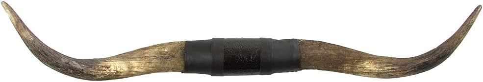 Mounted Longhorn Steer Horns, 36-43 Inch Span, Natural Finish, Black Leather Mounting