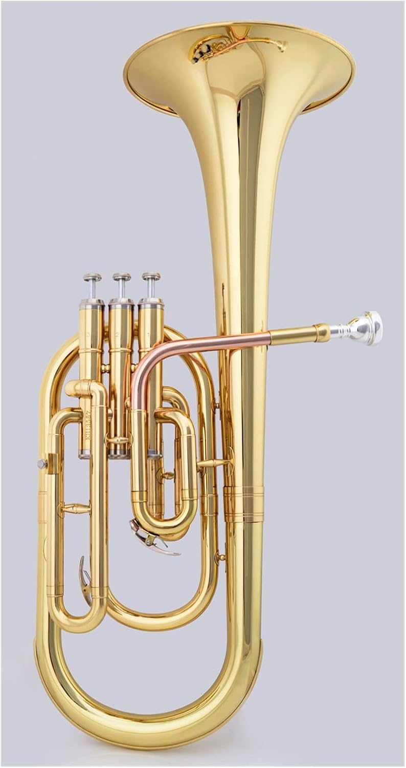 Brass Finishing Euphonium The E-Flat Lacquer Golden Midtone is Suitable for Students and Beginners to Play Professionally