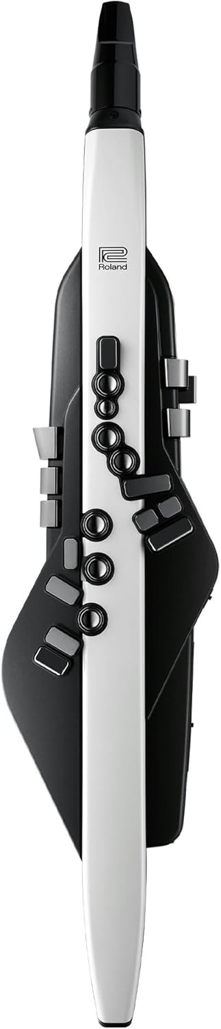 Roland AE-20 Aerophone | Premium Digital Wind Instrument | SuperNATURAL Acoustic Tones & Advanced ZEN-Core Technology | Ultra-Responsive Playability | Over 250 Sounds | Bluetooth Connectivity