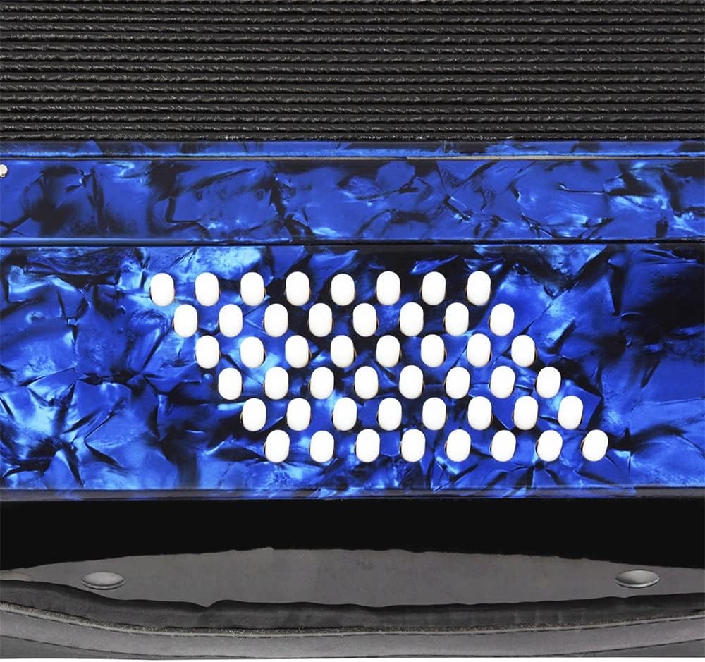 26 Keys 48 Bass Professional Piano Accordion, with Retractable Strap and Storage Bag, for Musical Instrument Lovers, Stage Performance (Color : Blue)