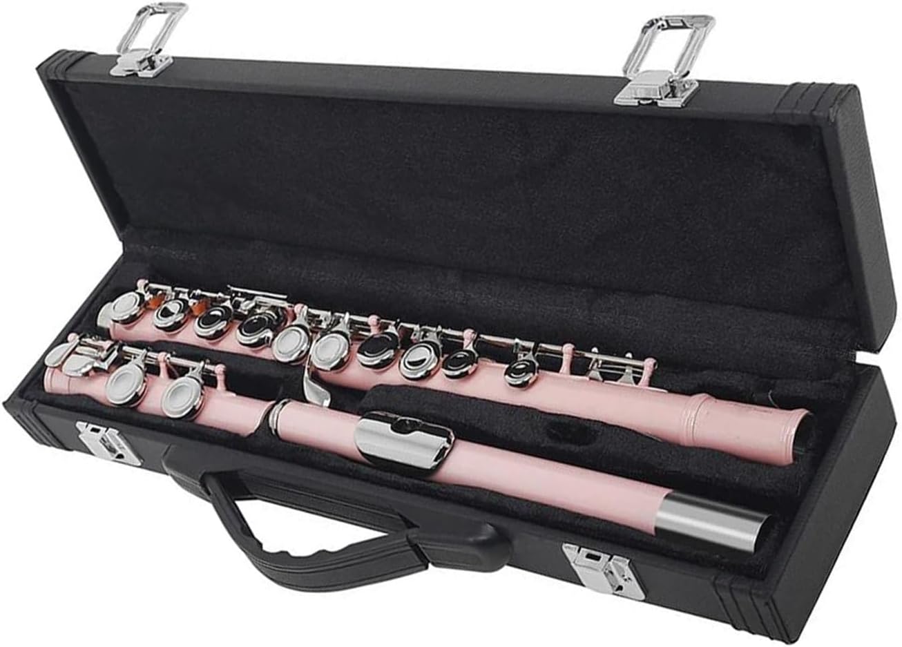 Pink 16 Holes Flute With E Key Woodwind Instrument Closed Hole C Tone Nickel Silver Key Cupronickel Tube With Music Case