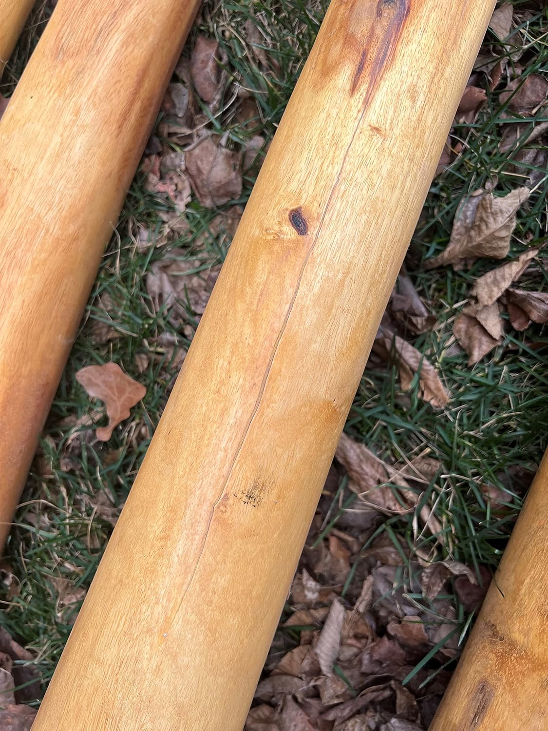 Handmade Didgeridoo Root Eucalyptus 59