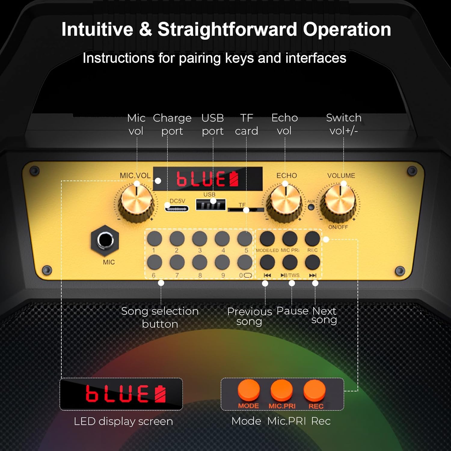 Portable Karaoke Machine for Adults Coaxial Speaker with 2 Wireless Microphones,Bluetooth PA System with 5 Dynamic LED Lights Mode,Supports TF/SD/USB,AUX,FM,REC for Home Party (171-black)