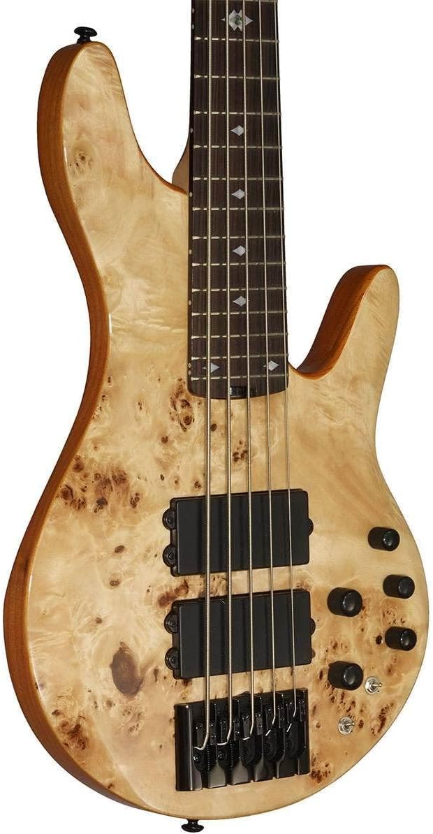 Michael Kelly Pinnacle 5 5-String Bass Guitar