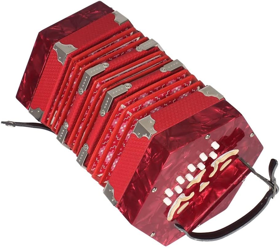 Accordion Concertina with 20 Keys, Music Accordion Instrument, Educational Musical Instrument, with Carry Bag, for Amateur Beginner
