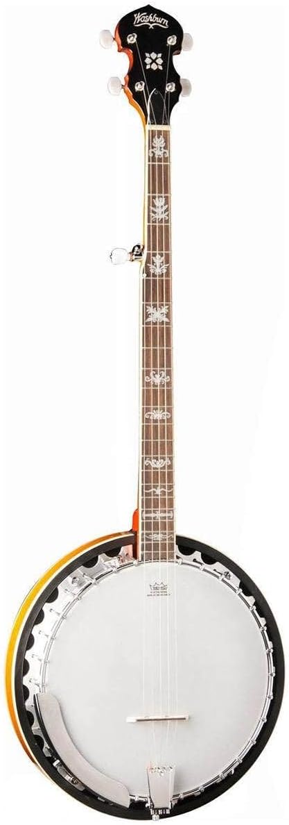 Washburn Americana B10, Banjo