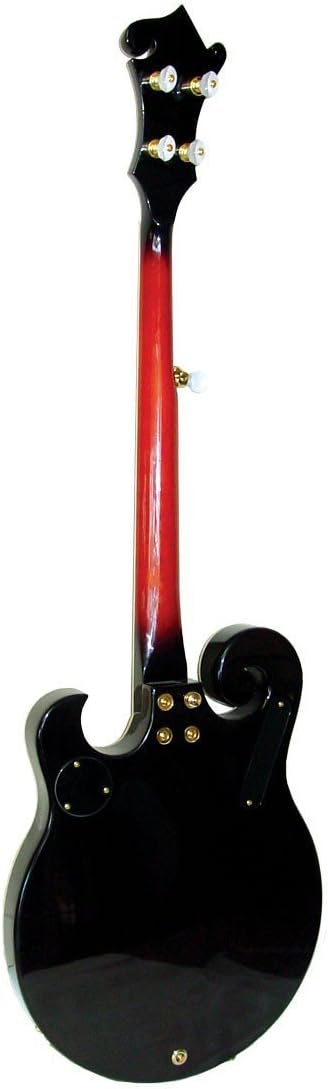 Gold Tone 5-String Electric Banjo - Left Handed