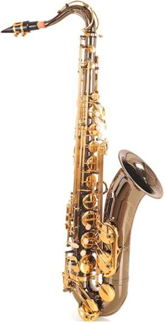 Sax Beginners Kit Bb Tenor Black Nickel Saxophone Instrument B Flat Sax with Case Mouthpiece Accessories Wind Instrument (Color : Gold Nickel)