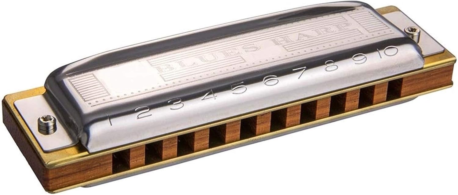 Harmonica Blues Harp 532/20 Diatonic Harmonica 10 Holes 20 Tone Mouth Organ Key C Musical Instruments (Color : Key Db)