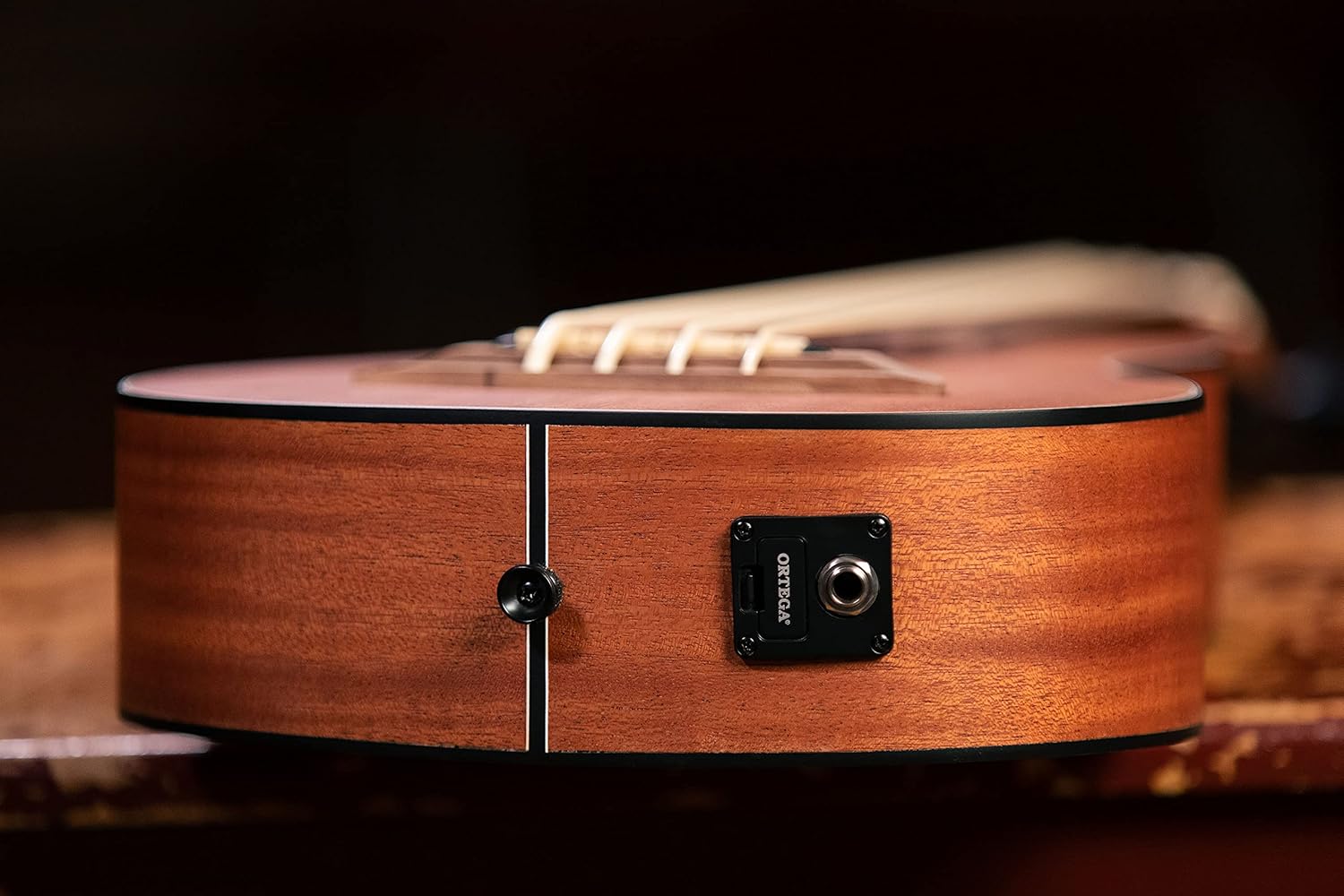 Ortega Guitars 4 String Lizard Series Fretless Acoustic-Electric Uke-Bass w/Bag, Right (LIZZY-BSFL-GB)