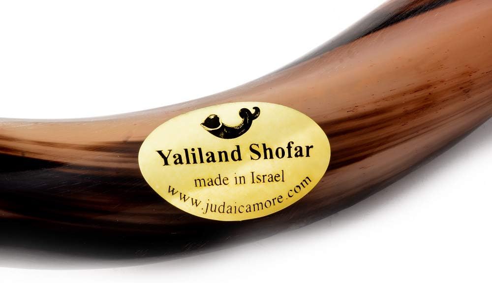 Yaliland Kosher Kudu Shofar Horn Set - Authentic & Revered Ceremonial Instrument (36-38