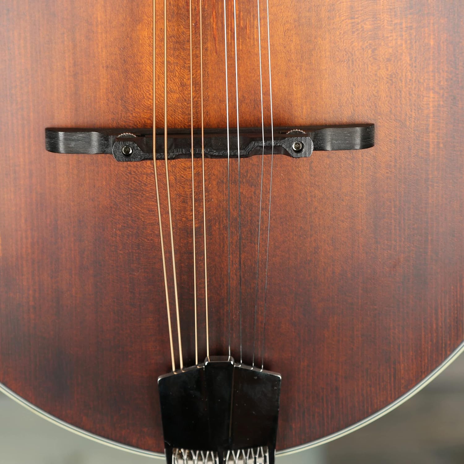 eastman Eastman MD314 FStyle Mandolin with Oval hole. Padded Bag Included