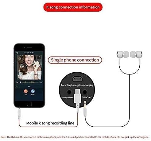 Microphone, Professional Recording Meeting Game Voice Anchor Live Broadcast, Computer Mic for Gaming Recording Streaming Podcast