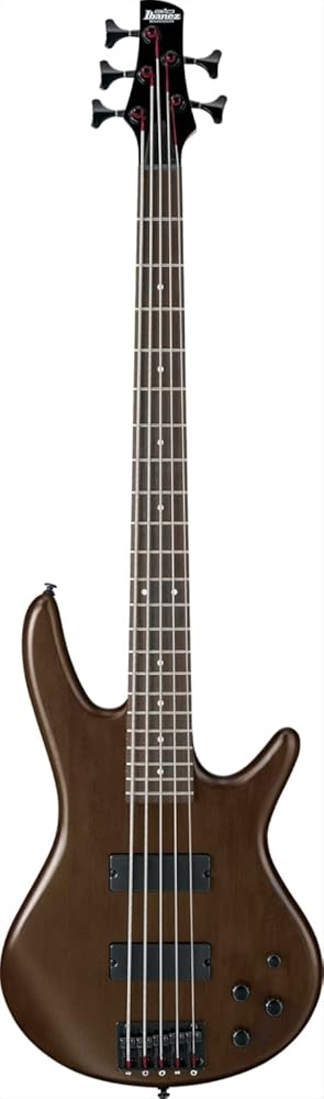Ibanez GSR205BWNF GIO - Walnut Flat