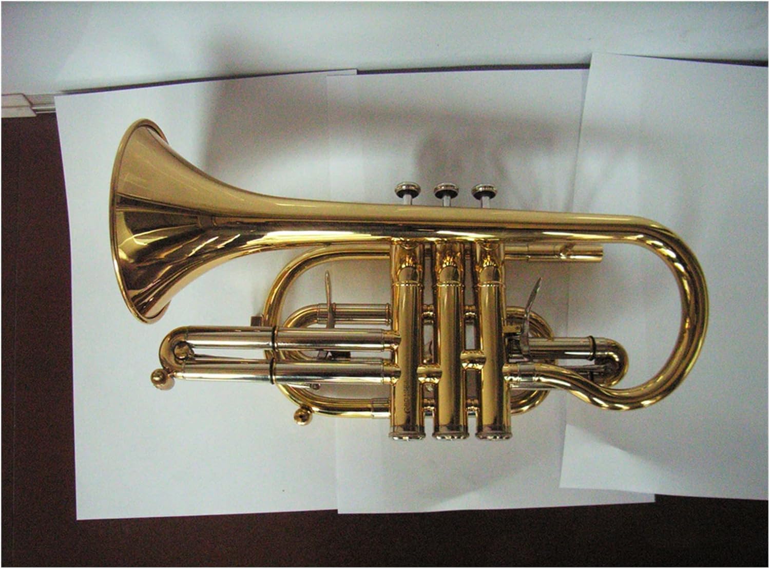 FLFL Student Trumpet Brass Body Gold Lacquer Finish Standard Bb Cornet