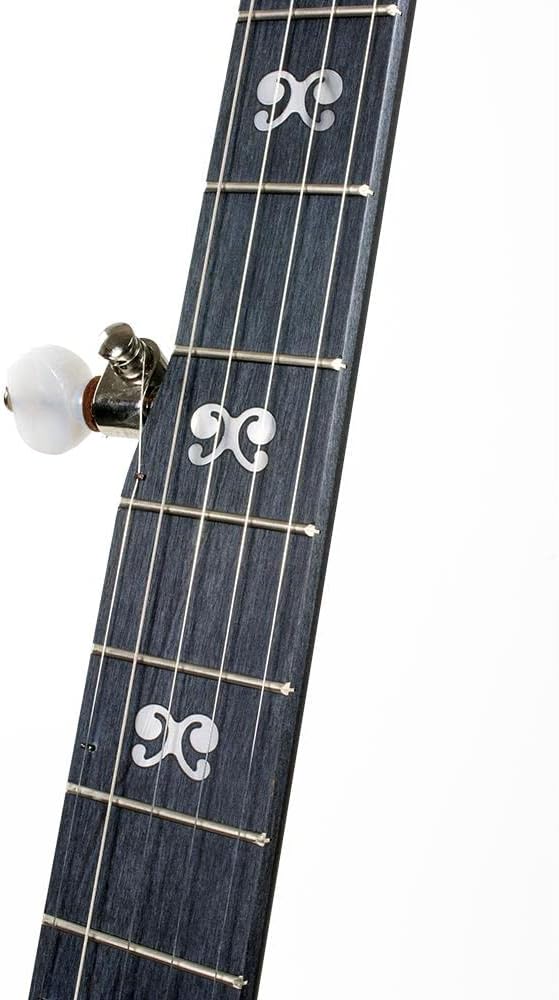 Deering Goodtime BLACKGRASS 5-String Bluegrass Banjo with Hard Case - All-Black Resonator, Neck and Hardware - Midnight