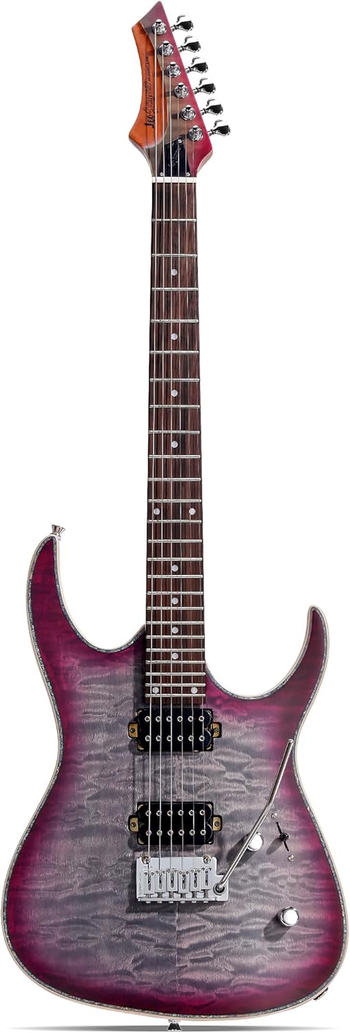 Leo Jaymz Hurricane Series Electric Guitar,Double Cut Arched Top Mahogany Body,Reverse Headstock,Roasted Maple Neck,Rosewood Fretboard,Alnico V Pickups,Locking Tuners,Tremolo Bridge (Purple Black)