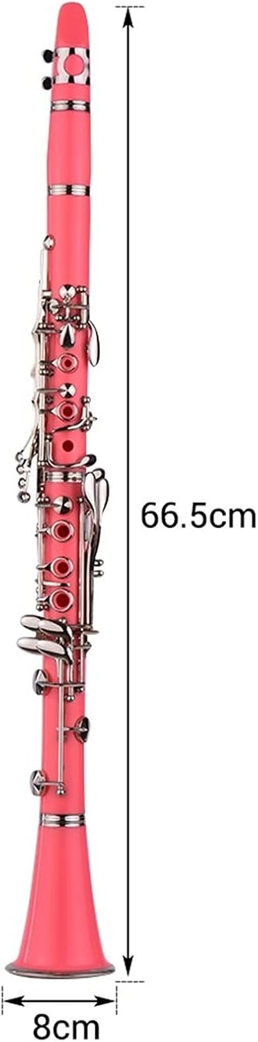 Standard Clarinet ABS 17-Key Clarinet Bb Flat Belt Suitcase Gloves Cleaning Cloth Reed Box 10 Pieces Reed Woodwind Instrument Beginner Clarinet (Color : Pink)