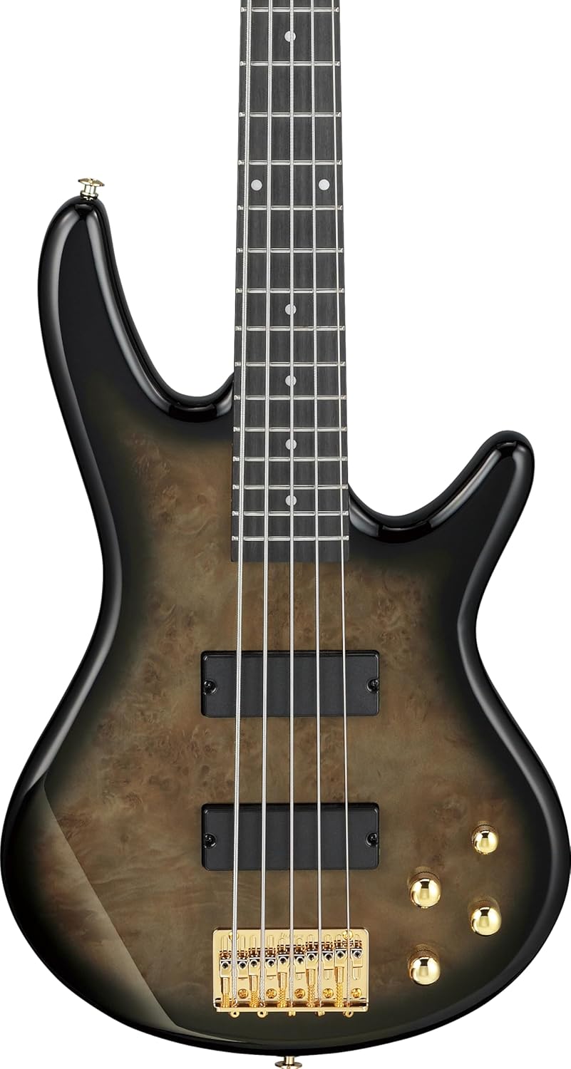Ibanez GSR205PC GIO 5-String Bass Guitar, Purpleheart Fingerboard, Transparent Pale Black Burst