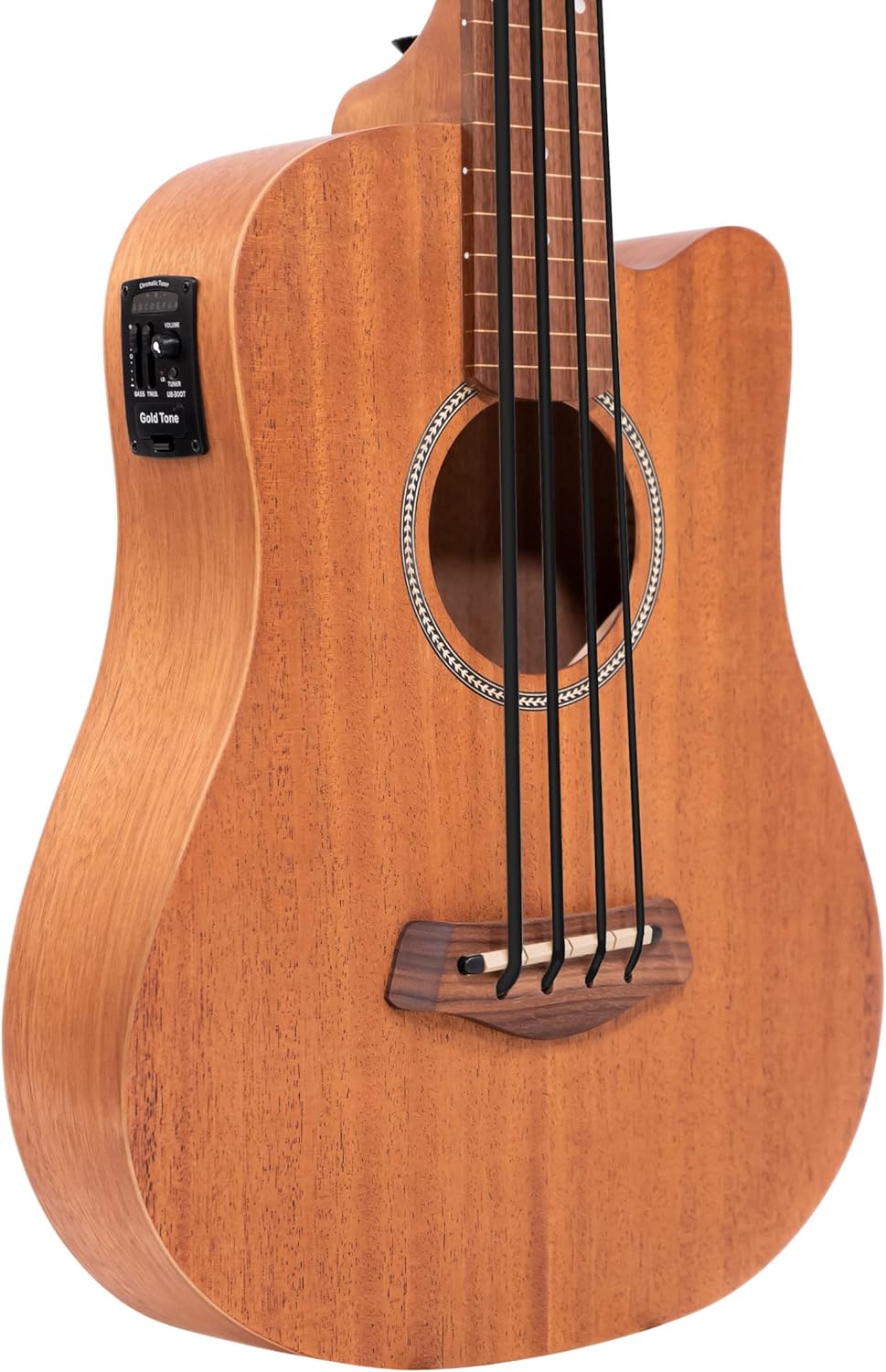 Gold Tone M-BassFL 23-Inch Scale Fretless Acoustic-Electric MicroBass with Gig Bag