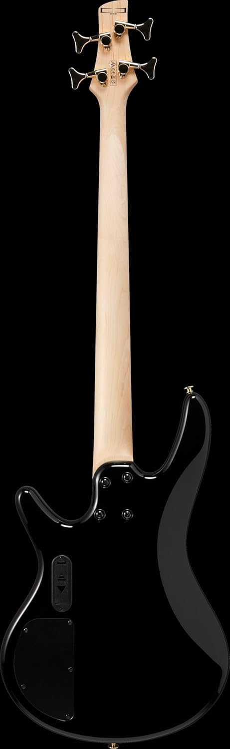 Ibanez Gio GSR200PC 4-String Right-Handed Electric Bass Guitar with Okoume Body, Maple Neck, and Purpleheart Fretboard (Transparent Pale Black Burst)