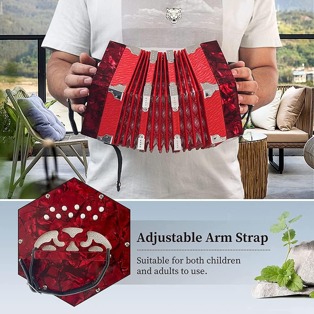 Professional Concertina, 20 Buttons Accordion With Adjustable Hand Strap And Carrying Bag, Beginner Musical Instrument For Daily Practice Stage Performance