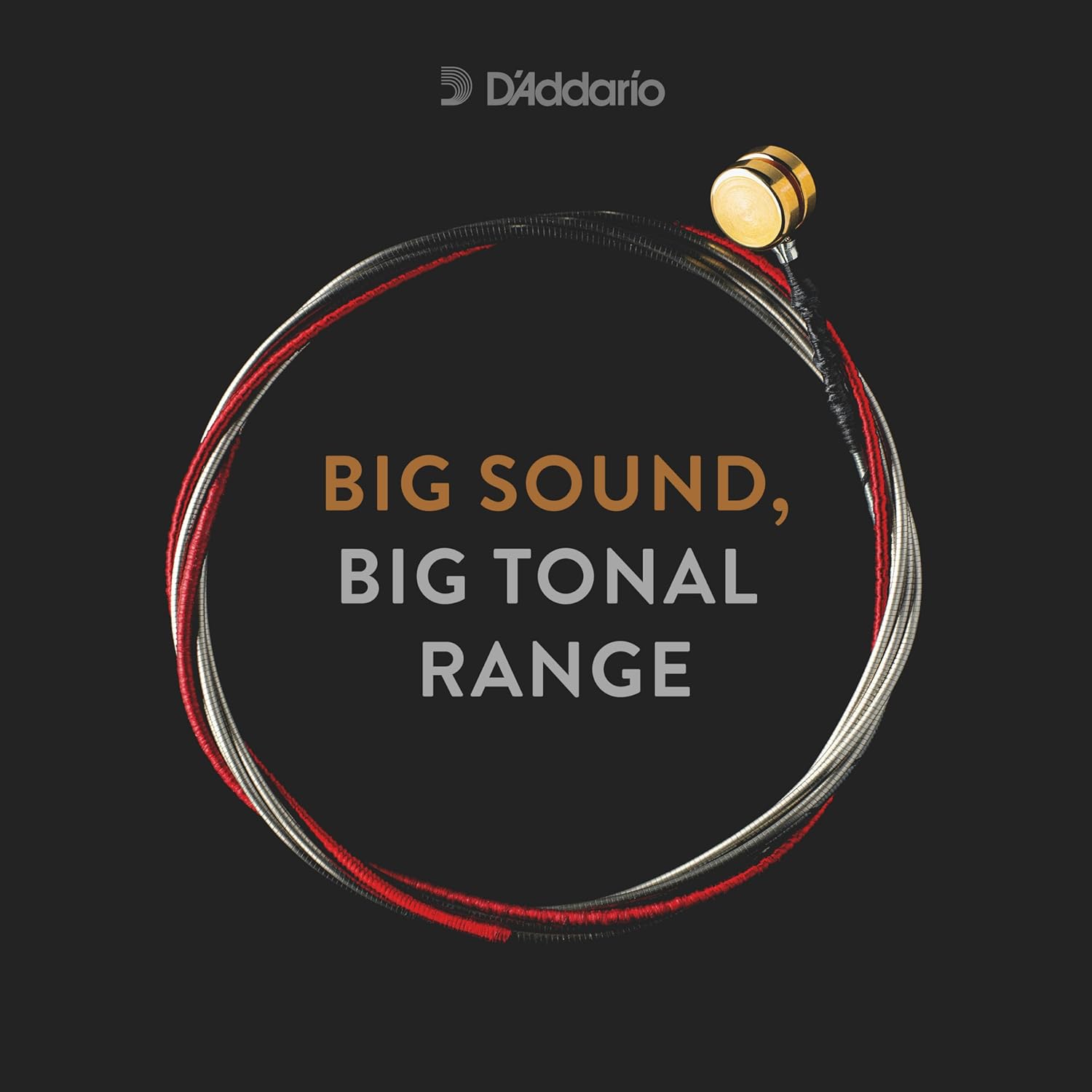 D'Addario Kaplan Bass Strings - Full Set - K610 3/4M - For Upright Bass, Double Bass - 3/4 Scale, Medium Tension