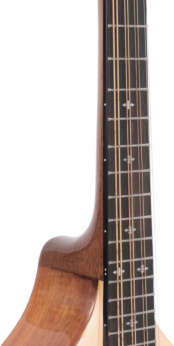 Gold Tone 8-String Mandola w/Gig Bag