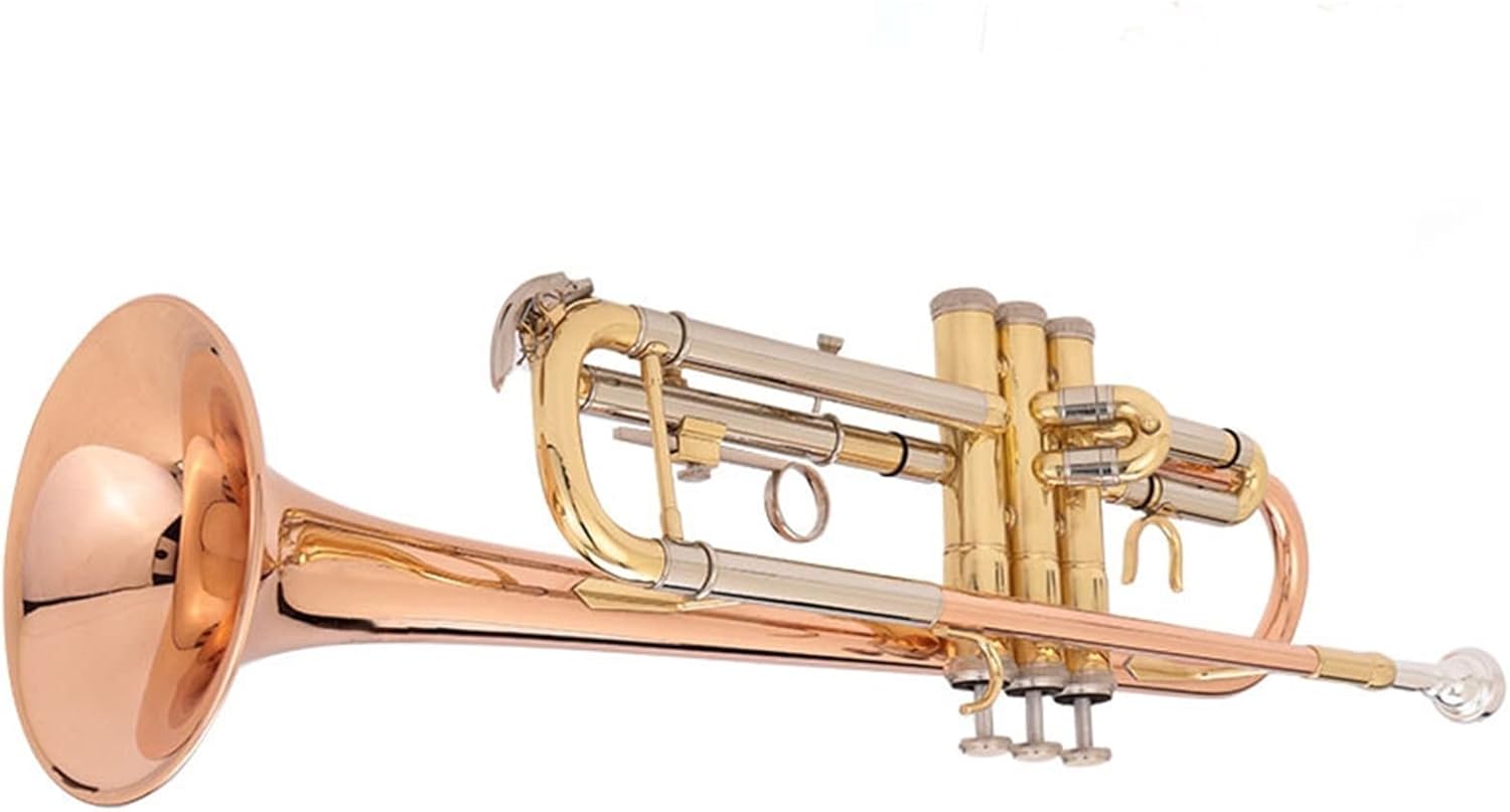 TSTS Wind Instruments Phosphor Brass Band Plays The Beginners 7C Mouth Trumpet Instruments in B Flat Box Professional Trumpet