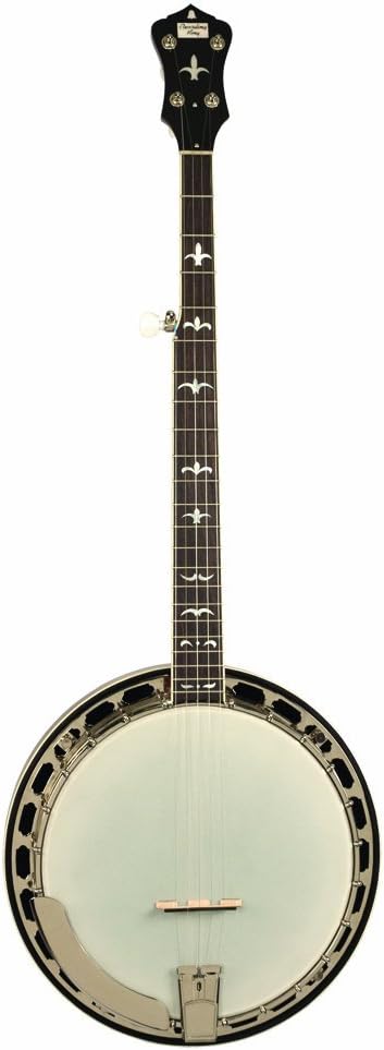 Recording King RK-R36-BR Madison Tone Ring Banjo, Mahogany Resonator