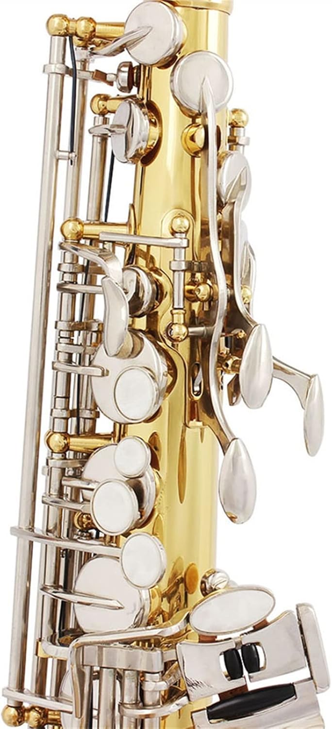 KESHUO EB Alto Saxophone Brass Lacquered Gold E Flat Sax Musical Woodwind Instrument with Case Mouthpiece Accessories Brass Sax Beginners Kit