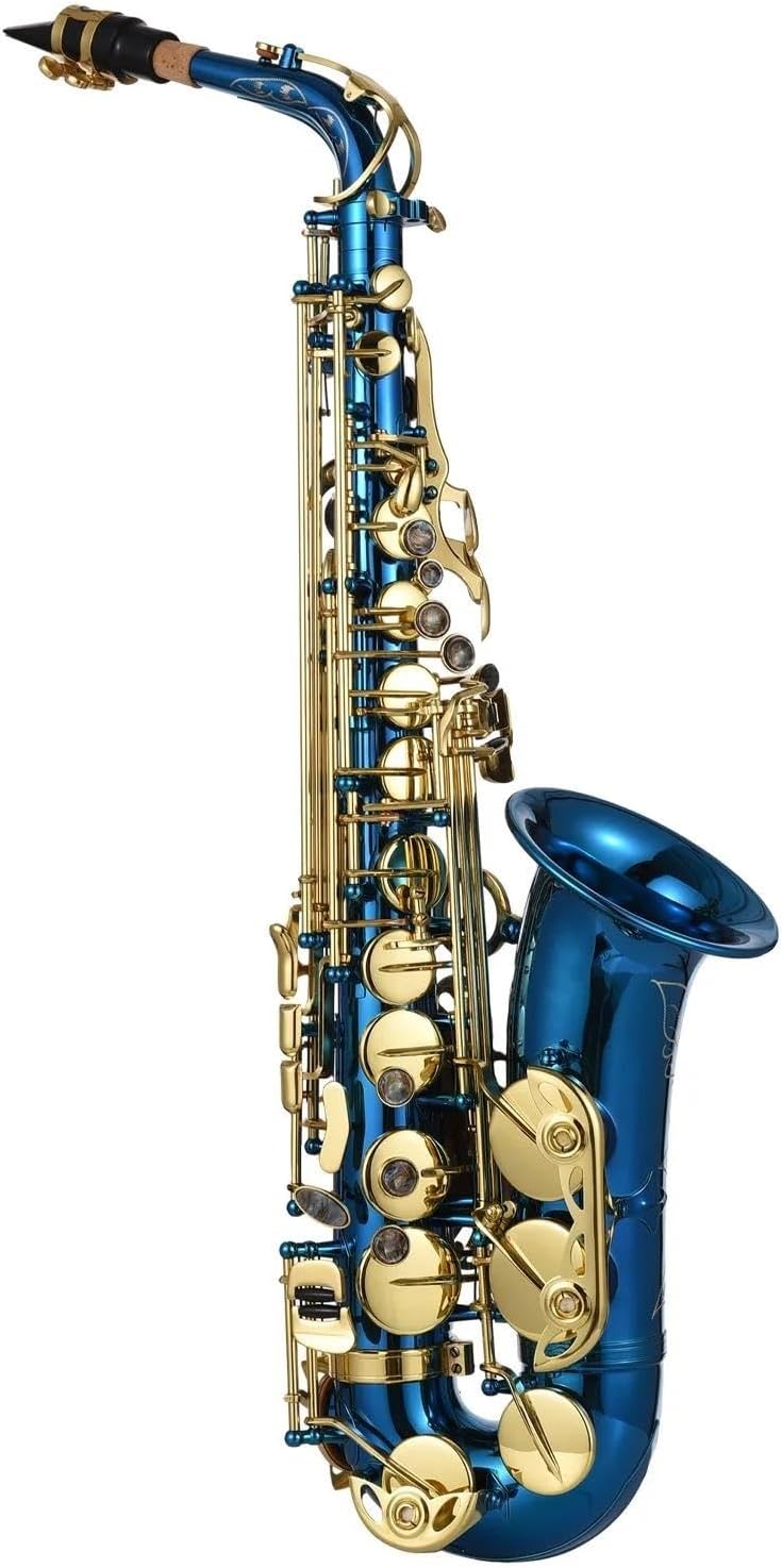 VBDEFRT Woodwind Instruments Brass Engraved Eb E-Flat Alto Saxophone Sax Buttons Wind Instrument With Case Cloth Belt Brush